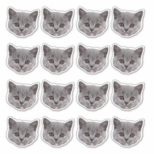 Personlig Cute Cat Ansikte 16 Foton vinyl Klistermärken