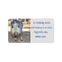 Personlig Cute Grått Mini Gris Adressetiketter