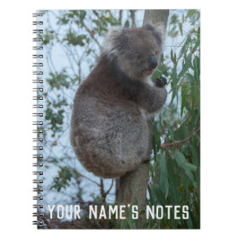 Personlig Cute Koala Animal Wildife Anteckningsbok