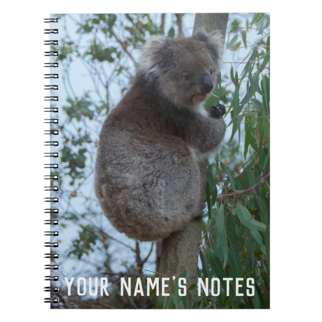 Personlig Cute Koala Animal Wildife Anteckningsbok (Framsidan)
