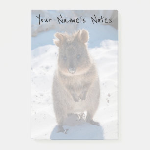 Personlig Cute & Lycklig Quokka på Beach Post-it Block