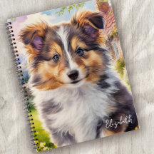 Personlig Cute Sheltie Puppy Hund