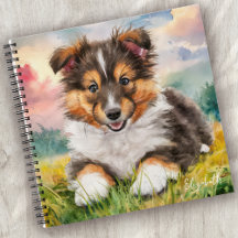 Personlig Cute Sheltie Puppy Hund
