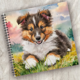 Personlig Cute Sheltie Puppy Hund