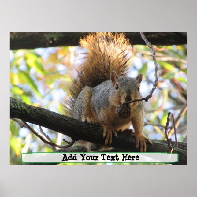 Personlig Cute Squirrel Humor Poster (Framsidan)