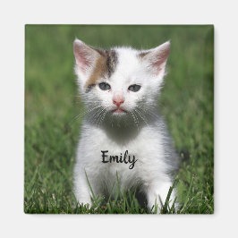 Personlig Cute White Kitten Magnet