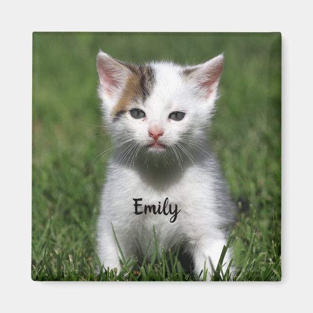 Personlig Cute White Kitten Magnet (Framsidan)