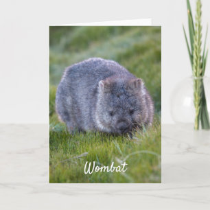 Personlig Cute Wombat Animal Tasmania Australien Kort