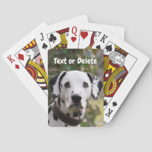 Personlig Dalmatien Hund Casinokort