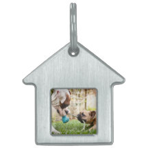Personlig din bild av Pet Hund Cat Photo Bild