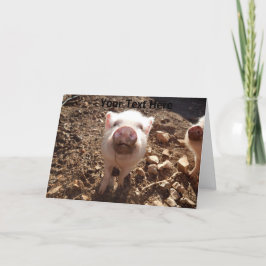Personlig Dirty Snout Mini Gris Greeting Card Kort