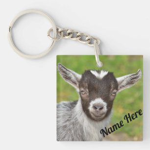 Personlig Dwarf Goat Kid