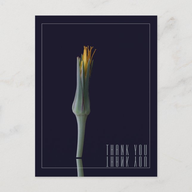 Personlig Elegant Blommig Spegel Svart Tack Vykort (Framsida)