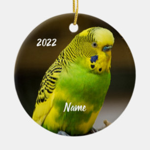 Personlig English Budgie Parakeet Julgransprydnad Keramik