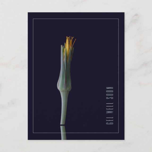 Personlig Enkel Elegant Blomma Snart Bättre Vykort (Framsida)