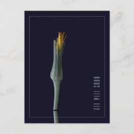 Personlig Enkel Elegant Blomma Snart Frisk Igen Vykort