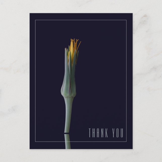 Personlig Enkel Elegant Blommig Svart Tacksamhet Vykort (Framsida)
