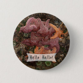 Personlig Färgt Starfish/Sea Star Photo 5 Knapp