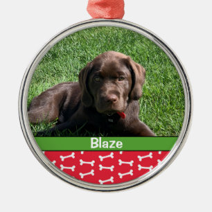 Personlig Festive Puppy Hund Bones Photo Pet Julgransprydnad Metall