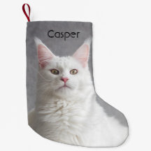 Personlig Fluffy White Maine Coon Cat