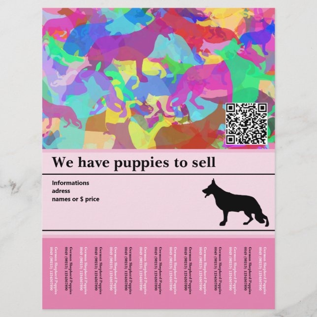 Personlig flyer för vallhund (Framsidan)