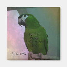 Personlig för fotonätverk (lägg till ditt foto)