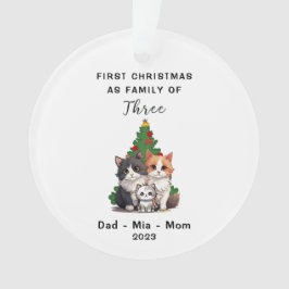 Personlig Första jul som familj tre
