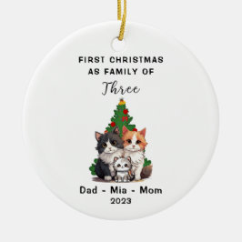 Personlig Första jul som familj tre Julgransprydnad Keramik