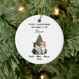 Personlig Första jul som familj tre Julgransprydnad Keramik