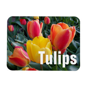 Personlig Foto Magnet