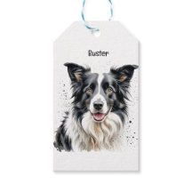 Personlig foto på Border Collie husdjur