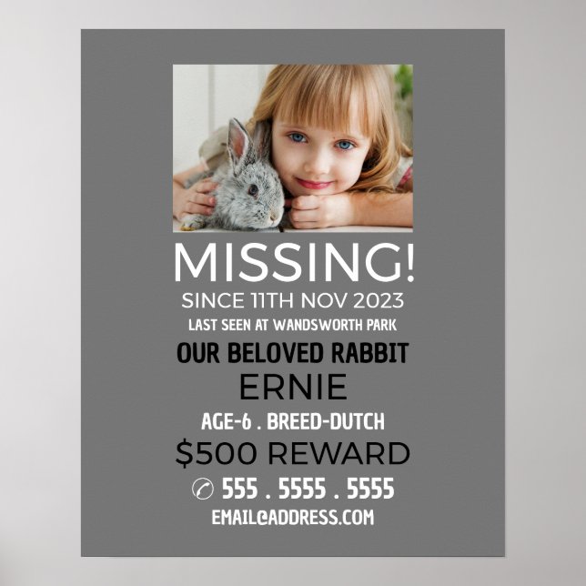 Personlig, foto, saknas, Borttappad Pet Poster (Framsidan)