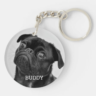 Personlig Fotografi Hund Ägarelucka
