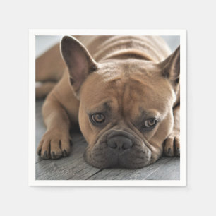 Personlig Fotografi på Husdjurs Hund Pappersservett