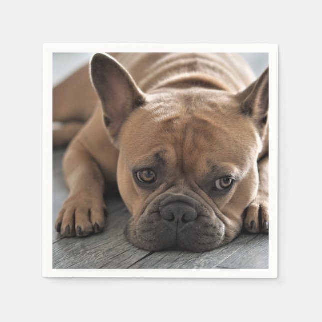 Personlig Fotografi på Husdjurs Hund Pappersservett (Framsidan)