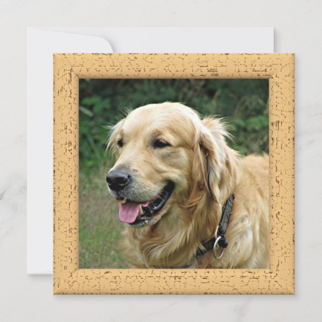 Personlig Fotokort Från Din Hund Meddelande (Framsida)