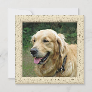 Personlig Fotokort Från Din Hund Meddelande