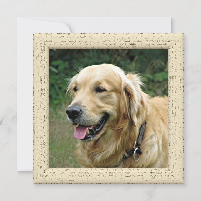 Personlig Fotokort Från Din Hund Meddelande (Framsida)