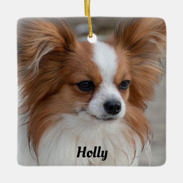Personlig Friendly Papillon Puppy Hund Julgransprydnad Keramik (Framsida)