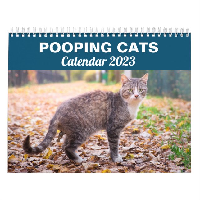 Personlig Funny Cats Pooping Calendar 2026 Kalender (Omslag)
