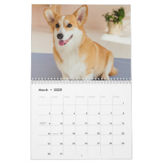 Personlig Funny Corgi Hund Pet Photo Calendar Kalender
