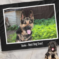 Personlig German Shepherd Hund Photo, Hund