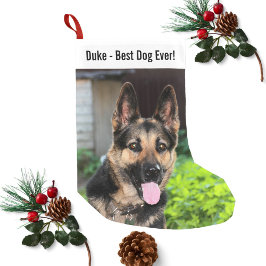 Personlig German Shepherd Hund Photo, Hund Liten Julstrumpa