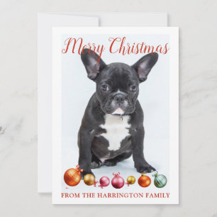 Personlig God jul Fransk Bulldog Puppy Julkort
