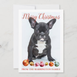Personlig God Jul Fransk Bulldog Valp Julkort