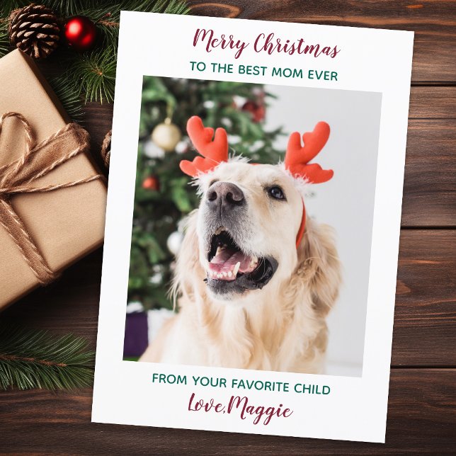 Personlig God jul Hund Pet Photo Hol Mamma Julkort (Skapare uppladdad)