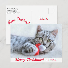Personlig God jul Kitten med Santa Hat Vykort