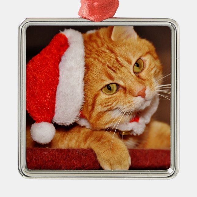 Personlig God jul Orange Tabby katt Julgransprydnad Metall (Framsidan)
