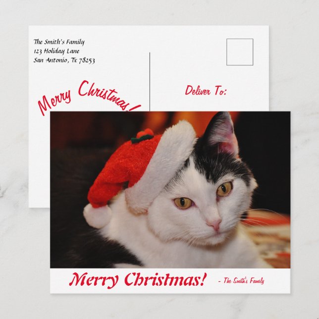 Personlig God jul Svartvit katt Vykort (Fram/baksida)