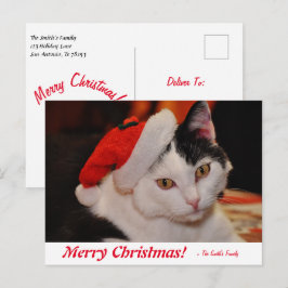 Personlig God jul Svartvit katt Vykort